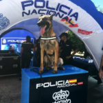 POLICIA NACIONAL8