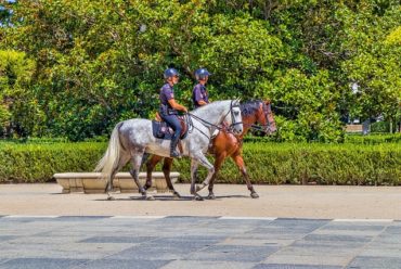 Guía completa para las oposiciones de policía local